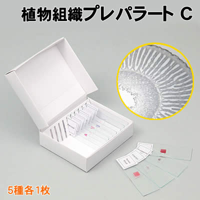 【個人宅配送不可】アーテック 植物組織プレパラートC(094739) 【個人宅配送不可】アーテック 植物組織プレパラートC(094739)