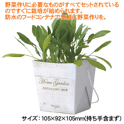 ウイッチの【個人宅配送不可】アーテック ベジコンテナ サラダホウレンソウ(102946)｜アングル2