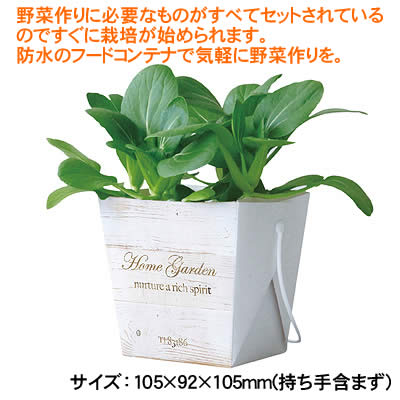 【個人宅配送不可】アーテック ベジコンテナ ミニチンゲンサイ(102947)