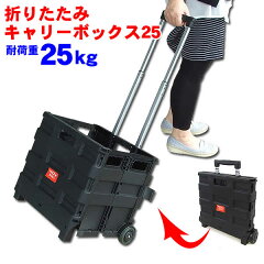 https://thumbnail.image.rakuten.co.jp/@0_mall/wich/cabinet/gazou21/shoppingcart25-1.jpg