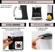 【送料無料】電動ふわふわとろ雪かき氷器(DTY-17BK)