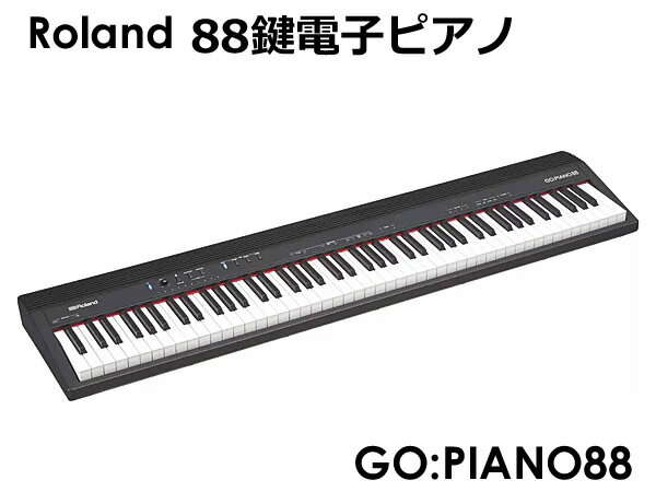 ̵Roland  88 Żҥԥ GO:PIANO88 ܡ ݡ֥  GO-88P إåɥۥ ץ꡼ʡ  ȥ