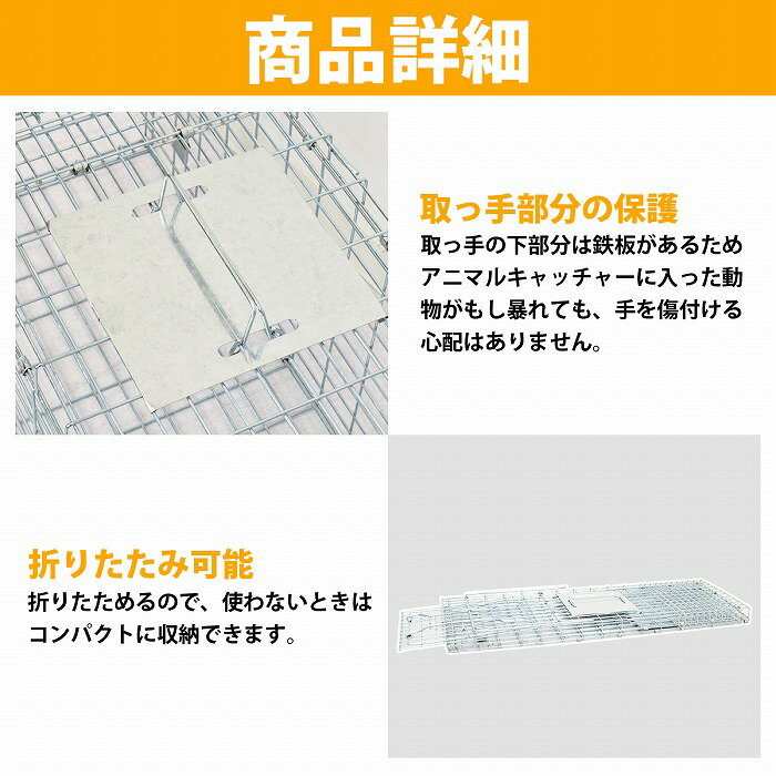 ��L�������ٴָ�28cm ��79cm ��ʹ� ���˥ޥ� ����å��㡼 �ȥ�å� ưʪ ���� �ݸ� ��� ��� Ȣ� �ȥ�å� � �� ���� Ȫ