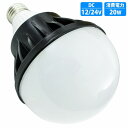 12v 24V 兼用 ノイズレス LED 電球 20W 無極性 2400LM 2400ルーメン 口金 E26 ホワイト 発光 船舶 キャンピングカー 室内灯