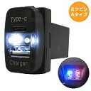 ミツビシA グランディス NA4W LED/ホワイト 新設USB Type-C タイプC ポート 充電 QC3.0 12V パネル スイッチホールカバー