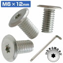 ナンバーボルト M6 12mm 取付 ネジ 薄型 盗難防止 極低頭 3本セット 輸入車 普通車 トルクスレンチ付き いたずら防止ネジ