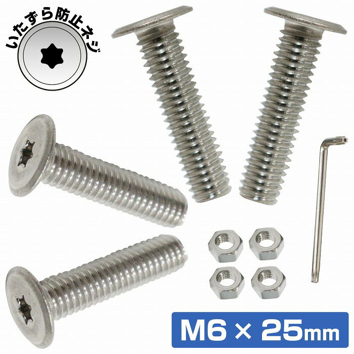 ステンレスボルト M6 25mm 取付 ネジ 薄型 盗難防止 極低頭 4本セット 軽自動車 トルクスレンチ付き いたずら防止ネジ ロングボルト その1