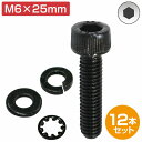 レカロ シート 固定用 高強度 ボルト M6×25 12本set SR1/2/3/4/5 LX LS LT A8 Cクラシック エルゴメド オルソペド 内歯se...