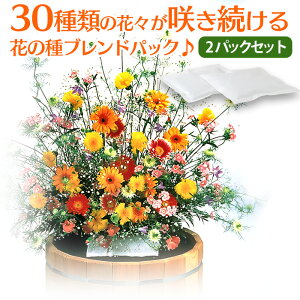 【送料無料】花の種ブレンドパック フラワリーランド≪2パックセット≫ 種 ミックス 花の種ブレンド 簡単 咲き続ける ガーデニング お花畑 お手軽 30種類 園芸 花 種子 栽培 たね タネ お花 ふらわりーらんど フラワー プレゼント 販売 通販 初心者 ≪メール便≫