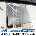 遮光カーテン 幅100cm×丈210cm 2枚 ベージュ 2級遮光 洗える 日本製 無地 アジャスターフック タッセル付き カーテン リビング