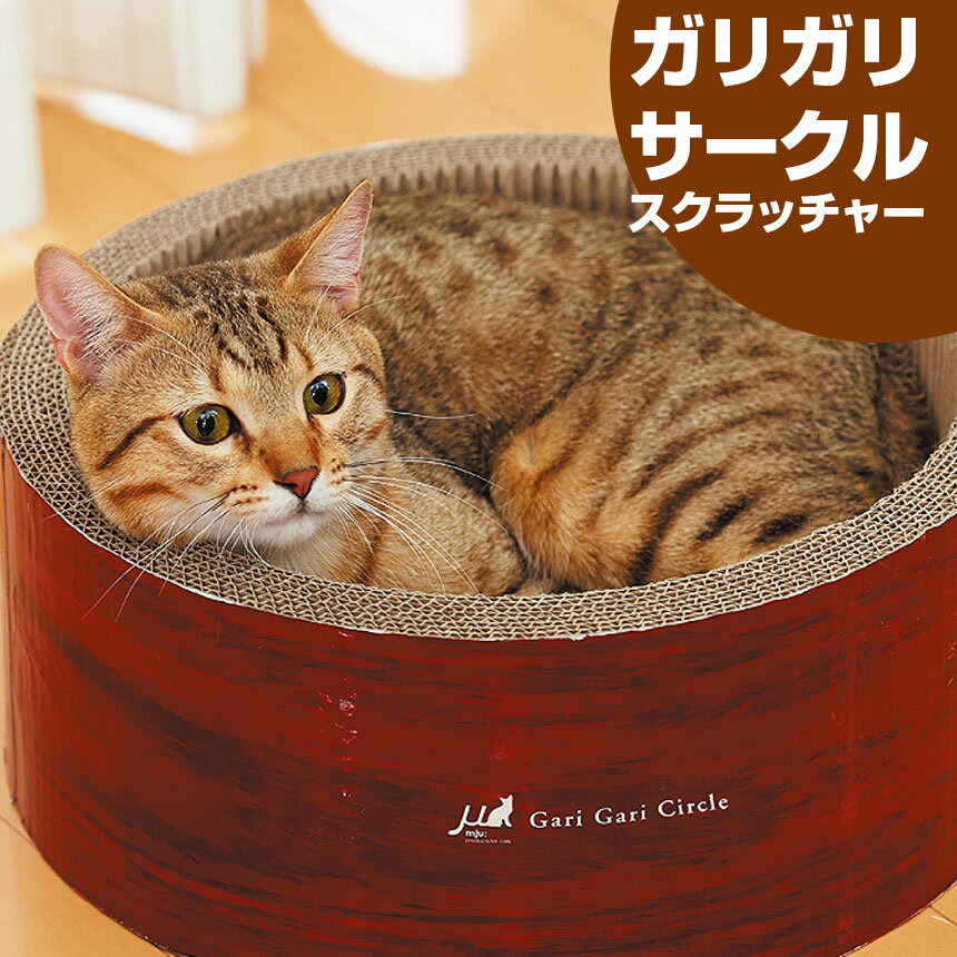 キャットタワー ダンボール ガリガリサークル　スクラッチャー 丸型 猫 ペット キャットタワー おもちゃ 玩具 爪とぎ ベッド 段ボール ダンボール
