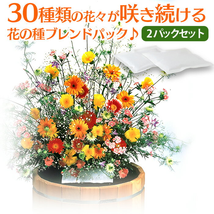 【送料無料】花の種ブレンドパック フラワリーランド【2パック】花の種 ミックス 花の種ブレンド 簡単 咲き続ける ガーデニング お花畑 ギフト 30種類 園芸 花 種子 栽培 たね タネ お花 ふらわりーらんど フラワー 初心者 ポイント消化 誕生日 プチギフト