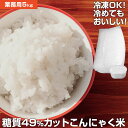 【あす楽】こんにゃく米 こんにゃく一膳 乾燥こんにゃく米 ≪5kg≫【暮らしの幸便 新聞掲載品】SNSで話題★ こんにゃくご飯 こんにゃくご..