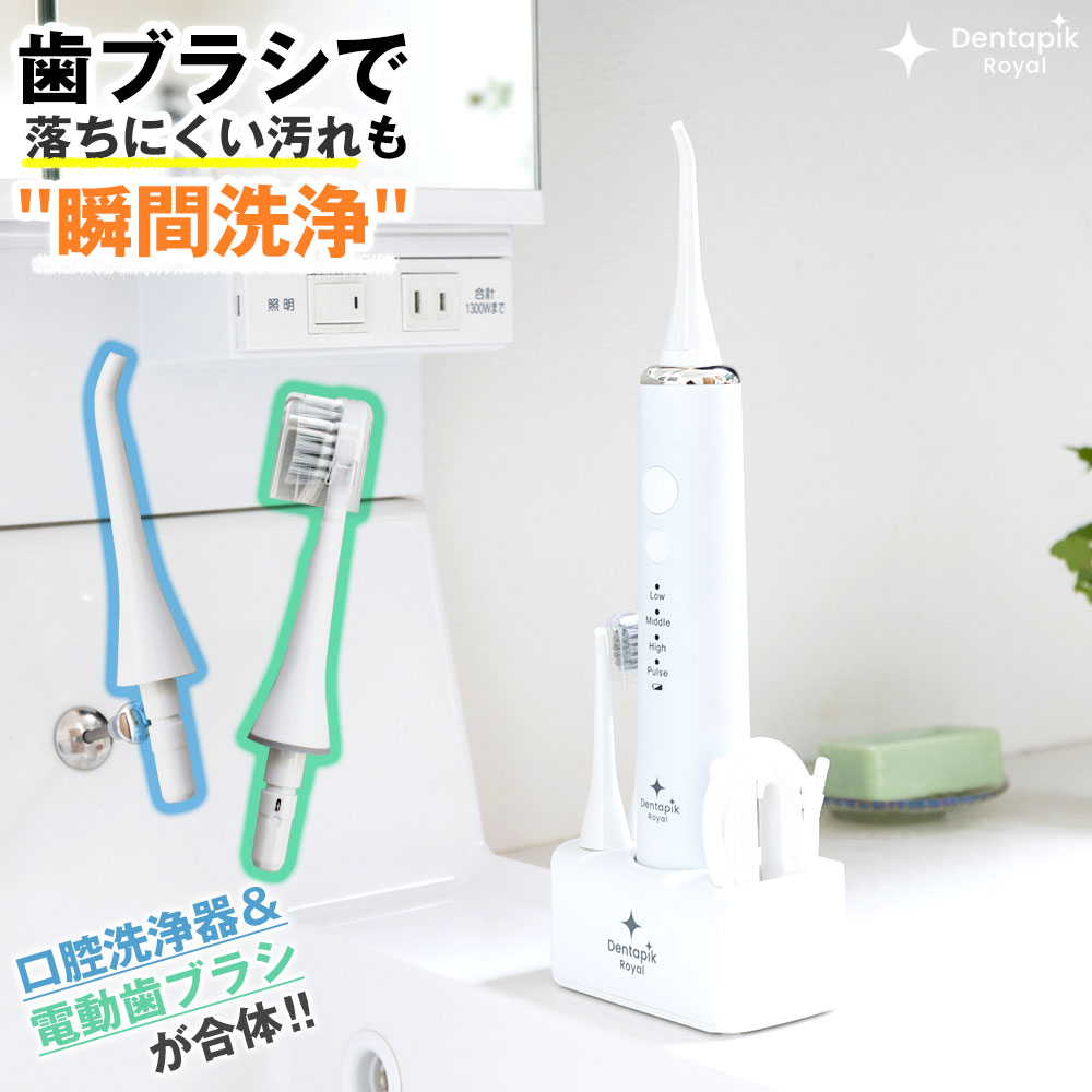 電動歯ブラシにもなる 口腔洗浄器 