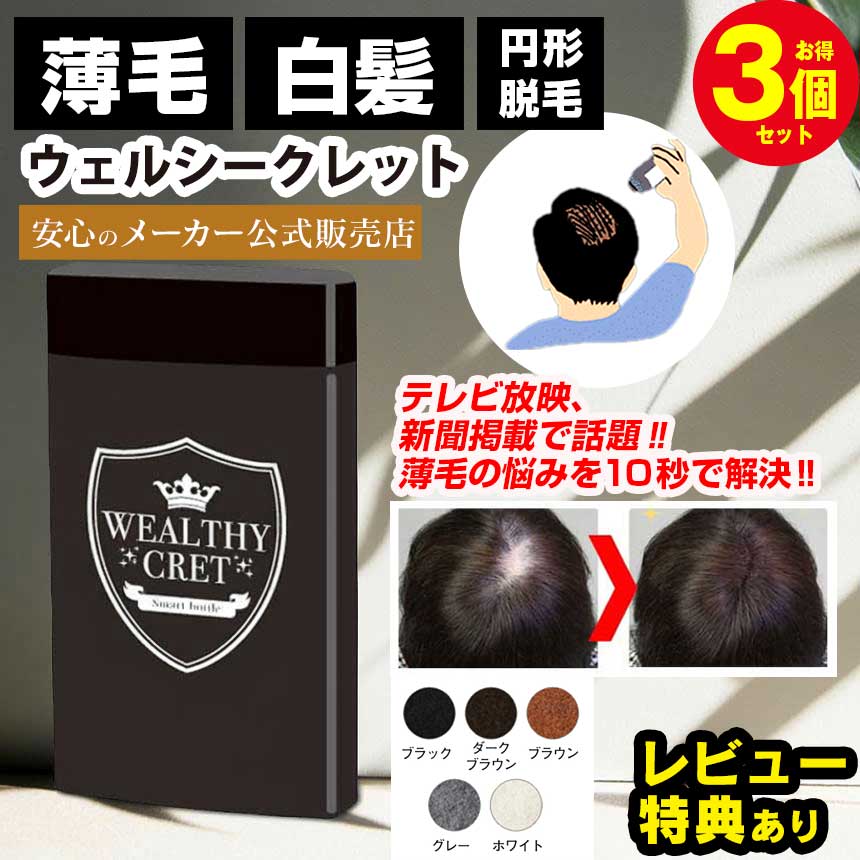 薄毛隠し 薄毛 パウダー キープ ハゲ隠し はげ隠し【ウェルシークレット 20g×3個】サッと一振り30秒簡..