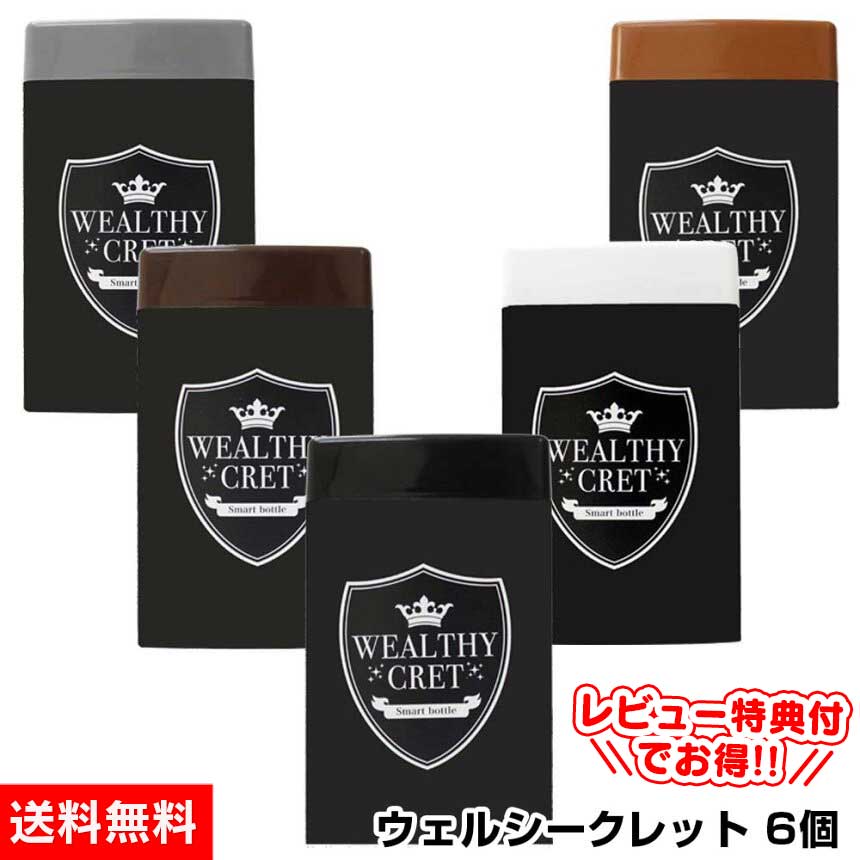 【送料無料】薄毛 薄毛隠し ハゲ隠し はげ隠し【ウェルシークレット 20g×6個】サッと一振り簡単増毛法 増毛 薄毛 粉 パウダー ハゲ ふりかけ かける 髪の毛 ふりかけ ハゲ 繊維 髪 円形脱毛症 隠す 男性用 女性用 産後 分け目 増毛パウダー 生え際 敬老の日 遅れてごめんね