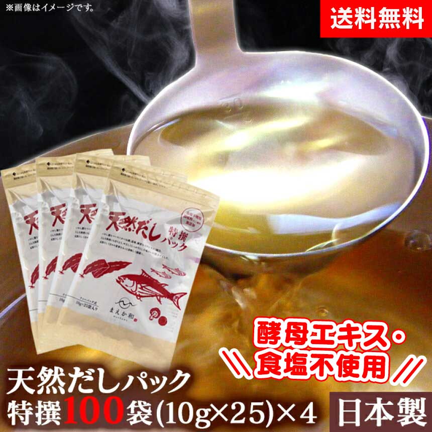 【送料無料】天然だしパック (10g×10