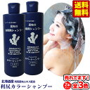 【割引クーポン有】【送料無料】利尻カラーシャンプー ≪お得2本組≫ 利尻昆布 白髪染めシャンプー 白髪染め シャンプー 1位 利尻白髪かくし 利尻昆布シャンプー...