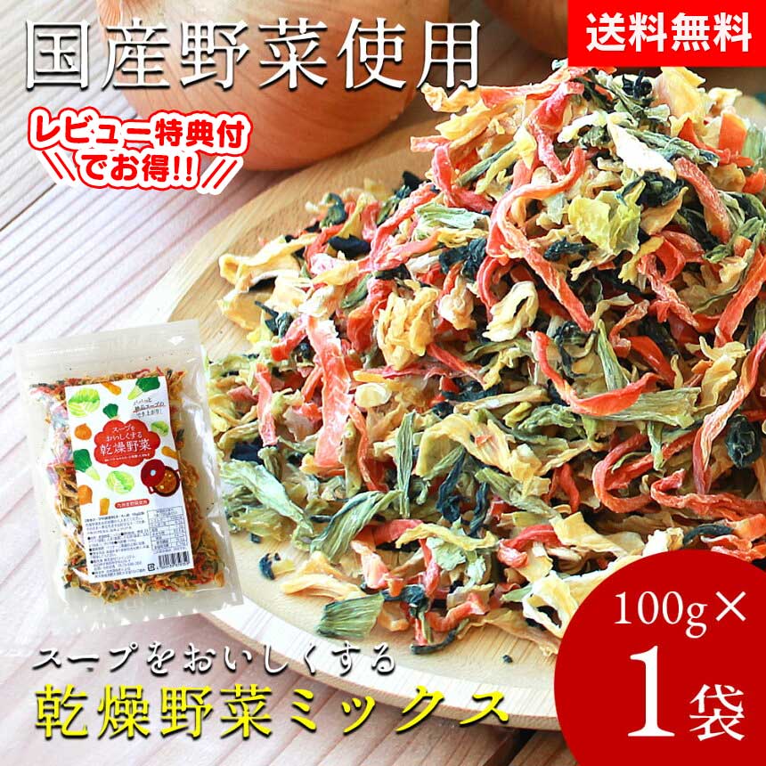 【送料無料】乾燥野菜 国産 100g 乾