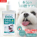 【クーポン有り 】【送料無料】犬