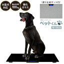 ペット 体重計 犬 大型ペットスケール ペットくんBIG ≪滑り止めマット&電池付き≫ ペットくん BIG ペット用体重計 ペット君 100g単位 最大100k...