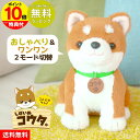 【ラッピング無料 ポイント10倍】しばいぬコウタ 柴犬コウタ バンダナ付きセット ロボット 犬 おもちゃ しゃべるぬいぐるみ おしゃべり 柴犬 コウタ 音声認識 ぬいぐるみ 柴犬こうた 柴犬 シバイヌ 犬 いぬ イヌ 動物 会話 歌 挨拶 おしゃべり人形 しゃべる 電池