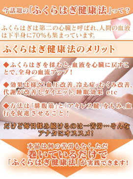 整骨院と考えた ふくらはぎ 磁気 サポーター 1足組(2枚) 整骨院 ふくらはぎ サポーター むくみ 日本製 ふくらはぎ健康法 揉む 血流 血圧 冷え症 ダイエット 睡眠 血行 巻くだけ レアアース 磁石 磁気 洗濯 洗える 疲れ アキレス腱