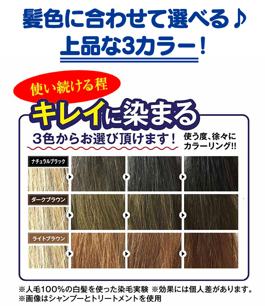 【送料無料】利尻カラーシャンプー ≪お得2本組≫ 利尻昆布 白髪染めシャンプー 白髪染め シャンプー 利尻白髪かくし 利尻昆布シャンプー 男性 女性用 利尻シャンプー 白髪隠し 利尻昆布 昆布の白髪用カラーシャンプー ノンシリコン 人気 おすすめ