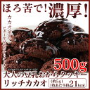 豆乳おからクッキー 500g おいしい リッチカカオ 訳あり お試し おからクッキー チョコ オカラクッキー ダイエット食品 豆乳 クッキー ダイエットクッキー おからくっきー プチ断食 豆乳クッキー ダイエットフード ダイエット クッキー 低カロリー 置き換え ギルトフリー