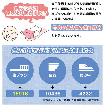 【送料無料】歯ブラシ 除菌 ケース 充電式 歯ブラシ除菌キャップ MDK-TS03 紫外線 歯ブラシ 除菌器 UV-C LED キャップ 充電 充電式 LGイノテック 日テレ ニュースエブリー news every 紹介 軽量 小型 コードレス オフィス 旅行 携帯用 歯ブラシ除菌機 歯ブラシケース