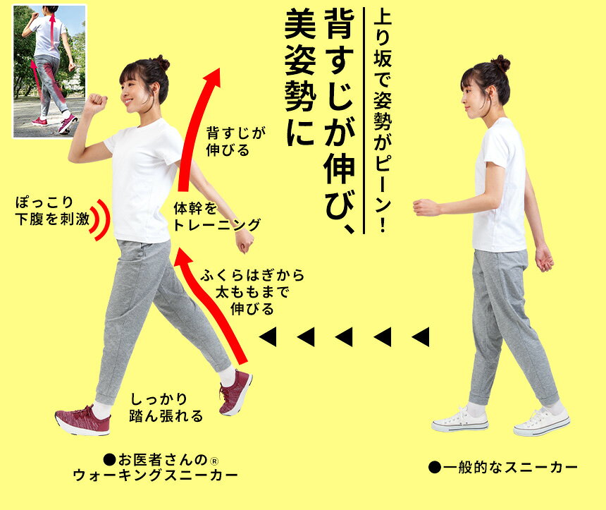 お医者さんのウォーキングスニーカー アルファックス ウォーキングシューズ レディース 靴 スニーカー 体幹 ワイン 反射テープ付き 夜道 ウォーキング シューズ 運動靴 仕事用 通勤 軽量 軽い 柔らかい 脱ぎ履きしやすい ゆったり 通気性 蒸れにくい 女性用 贈り物 wide02-10021729 通販ライフ サンプル画像3