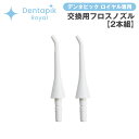 デンタピック ロイヤル 専用 交換用 フロスノズル【2本組】ノズル デンタピックロイヤル専用 交換用 フロスノズル 2本組 口腔洗浄器 WSDR001 専用 交換用フロスノズル 電動歯ブラシ 口腔洗浄機 フロス 交換用 替え 純正 正規品 専用 通販 矯正 水流洗浄器 歯周病 換え 代え(2)
