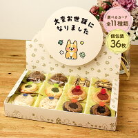 ロシアケーキ 中山製菓 ギフトセット 36枚(6種×6枚) 退職 お菓子 お世話になりました 挨拶 ホワイトデー 遅れてごめんね お返し お菓子 おしゃれ 退職 個包装 大容量 お礼 メッセージ クッキー 詰め合わせ ギフト かわいい お別れ おせわになりました【RSL】