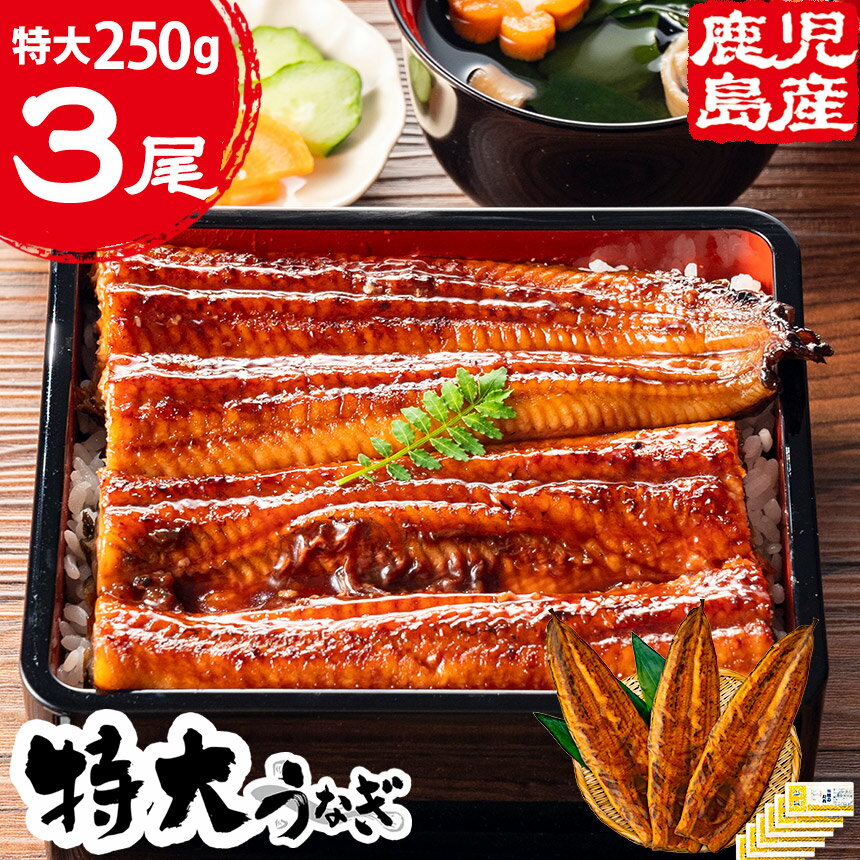 【送料無料】うなぎ 国産 特大鹿児島産鰻【250gサイズ×3尾】蒲焼 ウナギ 鰻 長焼 特大 特大サイズ 鰻の蒲焼 国産鰻 うなぎ蒲焼き うなぎの蒲焼 国産うなぎ ウナギ蒲焼 国内産 蒲焼き 冷凍 真空パック 鹿児島 贈り物 高級 ギフト プレゼント 直送 のし 熨斗対応 母の日