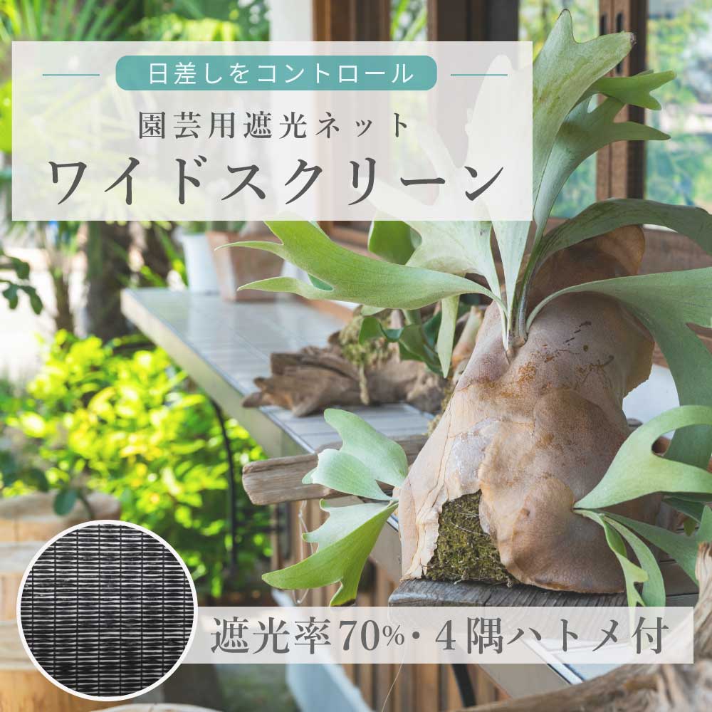 【園芸用遮光ネット】 ワイドスクリーン ハトメ付 熱中症 葉焼け 直射日光 ネット 日光 半日陰 ペット 暑さ 園芸 家庭菜園 多肉 ガーデニング ベランダ 遮光 目隠し オーニング ターフ タープ 葉焼け すだれ よしず アウトドア 日よけ キャンプ 観葉植物 遮光カーテンのサムネイル