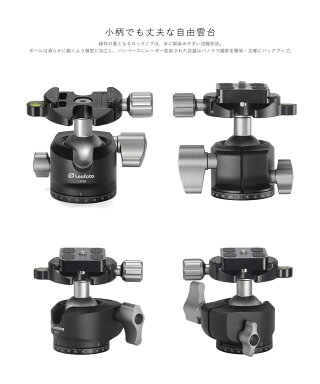 LH-30