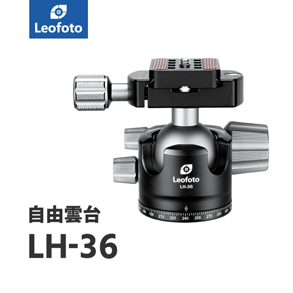 Leofoto(쥪ե) LH-36 ͳ3/8,1/4бåܡ36mmåΥ֥סåץ졼QP-70N°å륫ߴ