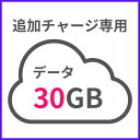 【追加チャージ専用】G40 30GB 日本国内専用