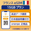 tX eSIM 15GB f[^ʐM̂݉\ p͍w30 Orange [bp SIM SIMJ[h vyChSIM 30 p j[X Jk }ZC j[X {h[ f[^ ʐM [Ŏ ꎞA w Z o