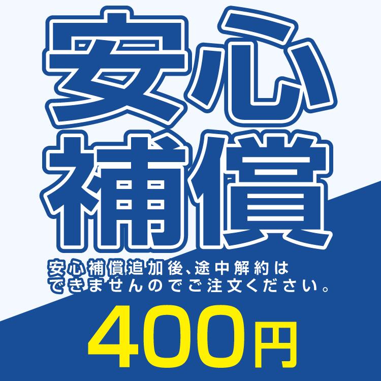 楽天WiFiレンタル楽天市場店安心補償 400円 10日間