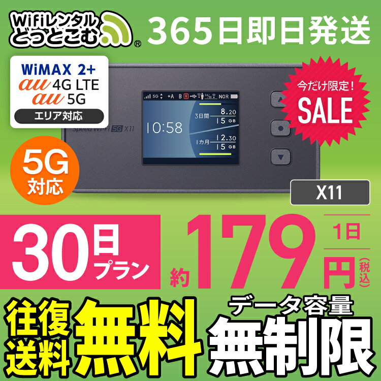 wifi レンタル 無制限 5G 30日 1ヶ月 国