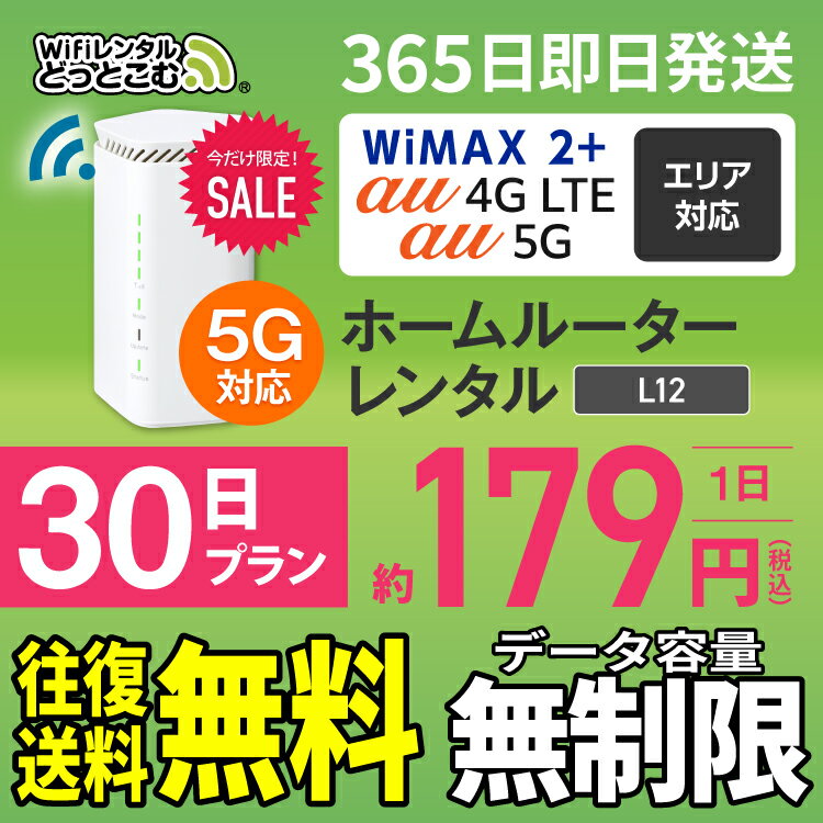 WiFi レンタル 30日 5G 無制限 送料無料 レンタルwifi 即日発送 レンタルwi-fi wifiレンタル ワイファイレンタル ホ…