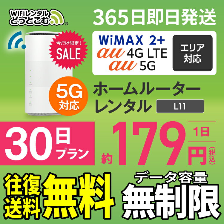 WiFi レンタル 30日 5G 無制限 送料無