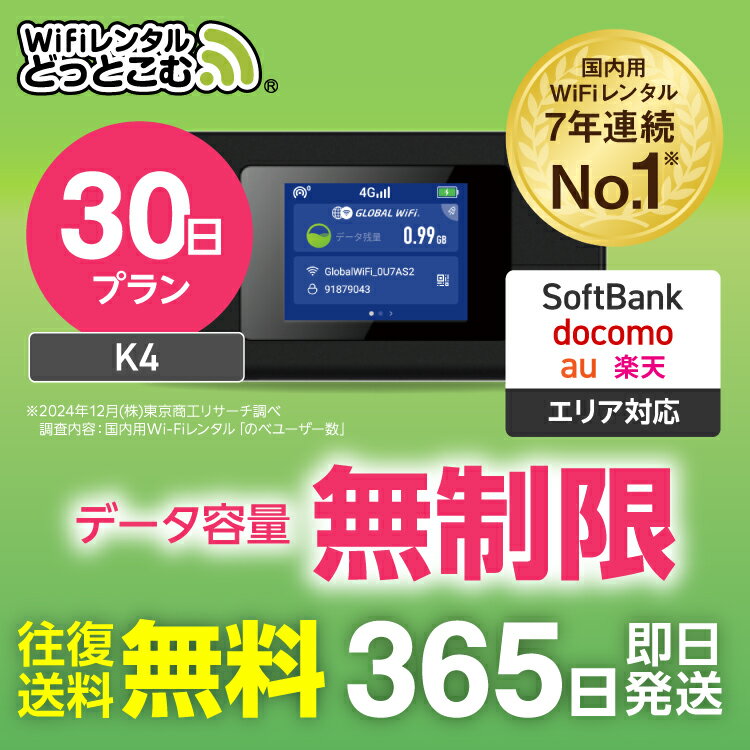 WiFi󥿥30SoftBankK4