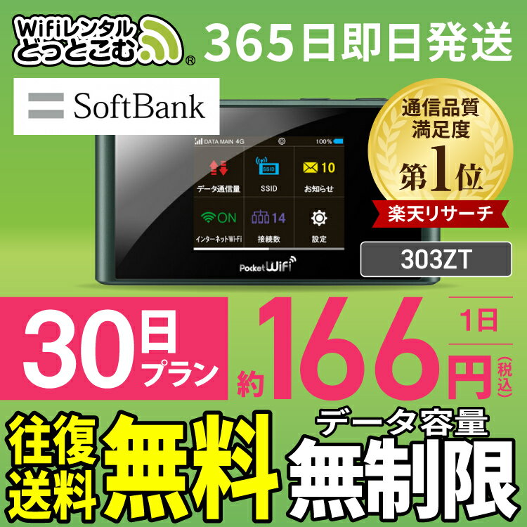 WiFi レンタル 30日 無制限   レンタルwifi レンタルwi-fi