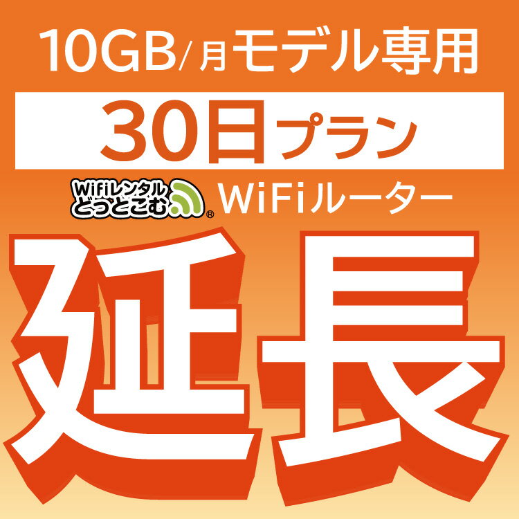 【延長専用】 801ZT 10GB モデル wifi レ