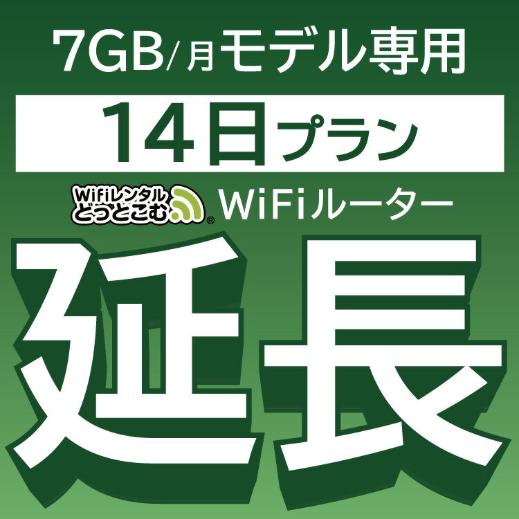 【延長専用】 801ZT 7GB モデル wifi レンタル