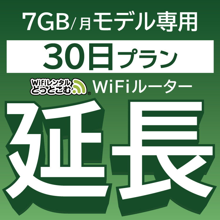 【延長専用】 801ZT 7GB モデル wifi レ