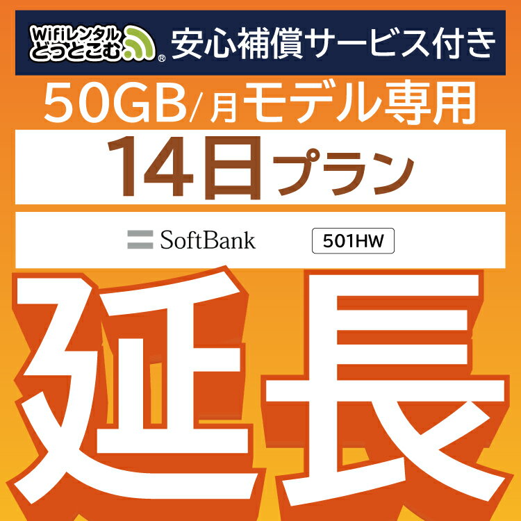 【延長専用】 安心補償サービス付き E5383 501HW 