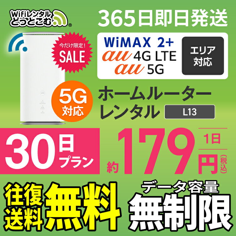 WiFi レンタル 30日 5G 無制限 送料無料 レンタルwifi 即日発送 レンタルwi-fi wifiレンタル ワイファイレンタル ホームルーター 置き型 レンタルワイファイ Wi-Fi au 